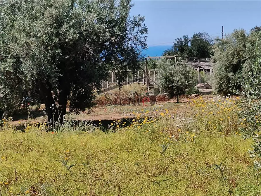 Immagine 9 di Terreno in vendita  a Scicli
