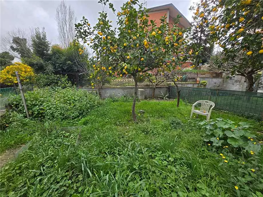 Immagine 4 di Appartamento in vendita  a Roma