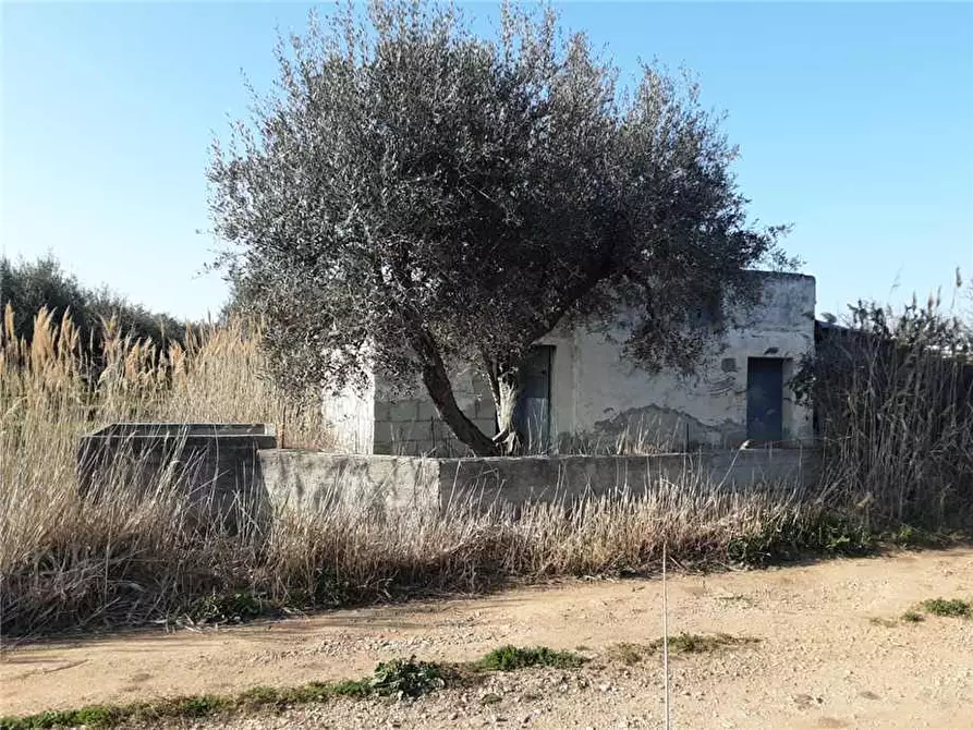 Immagine 2 di Terreno in vendita  a Sannicandro Garganico
