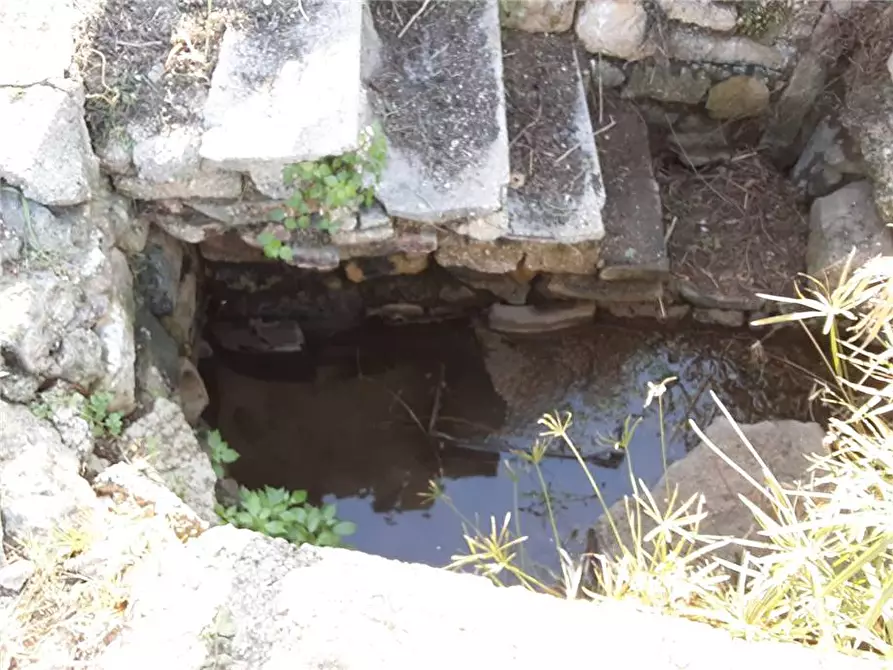 Immagine 4 di Terreno in vendita  a Sannicandro Garganico