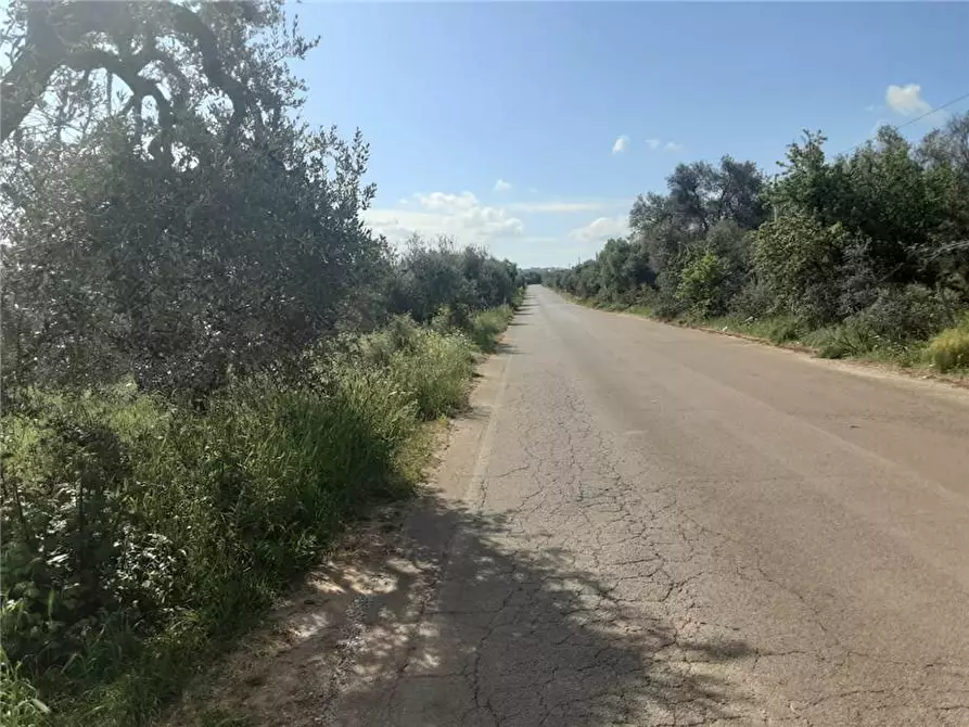 Immagine 3 di Terreno in vendita  a Sannicandro Garganico