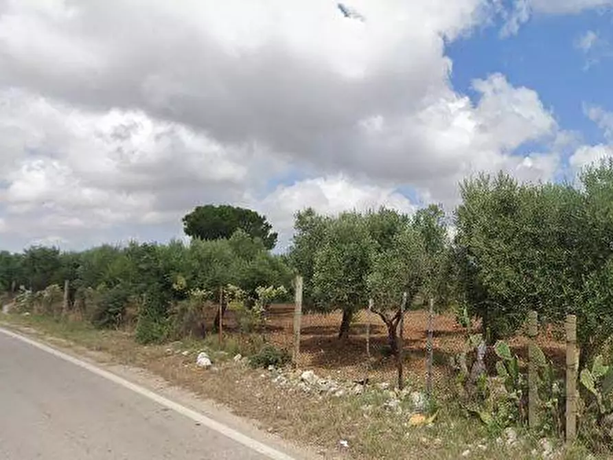 Immagine 1 di Terreno in vendita  a Apricena