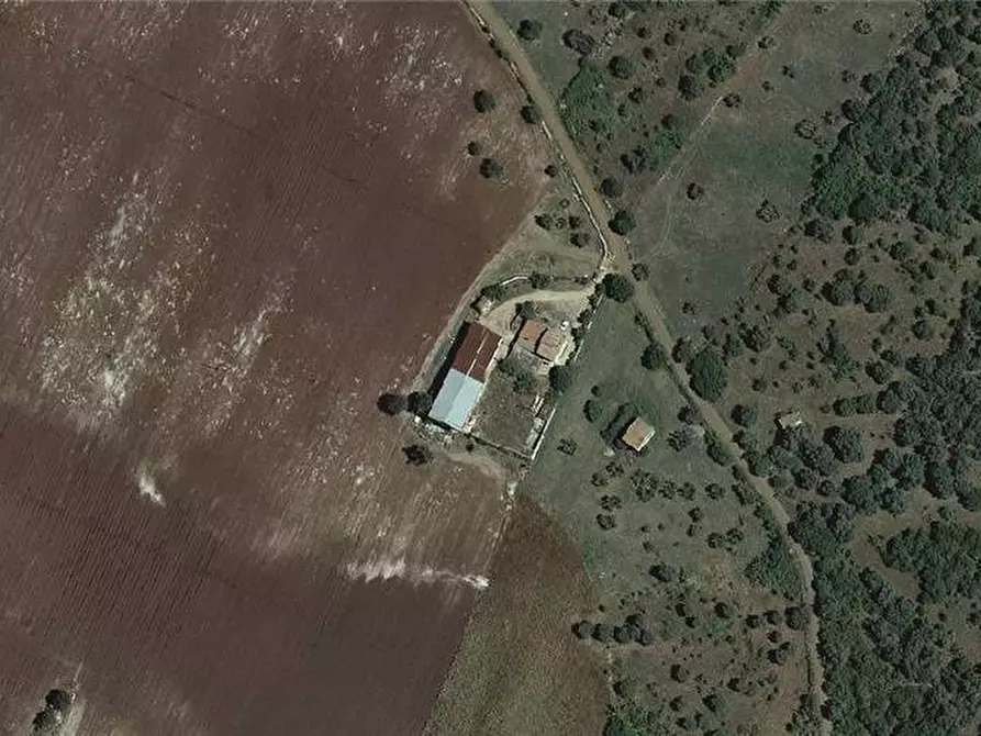 Immagine 2 di Terreno in vendita  a Sannicandro Garganico
