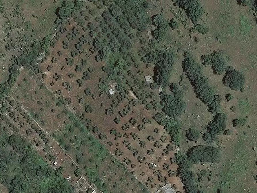 Immagine 2 di Terreno in vendita  a Sannicandro Garganico