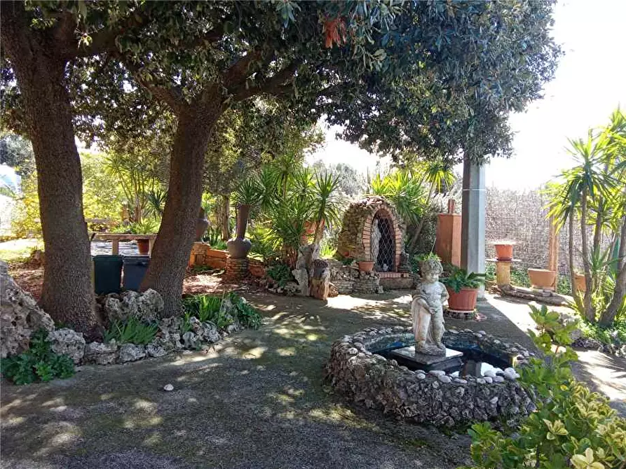 Immagine 2 di Stabile in vendita  a Sannicandro Garganico