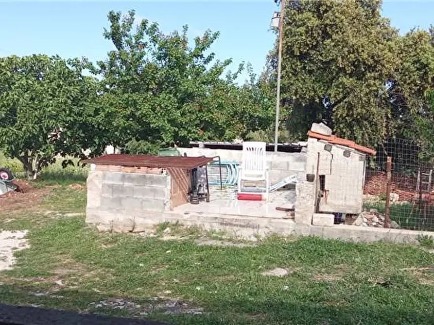 Immagine 2 di Appartamento in vendita  a Sannicandro Garganico