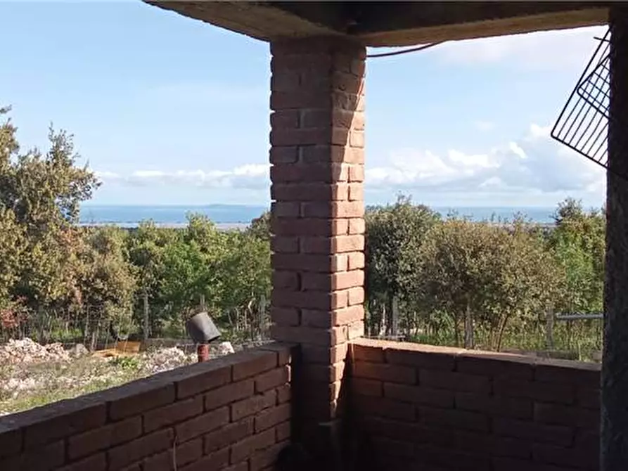Immagine 3 di Appartamento in vendita  a Sannicandro Garganico