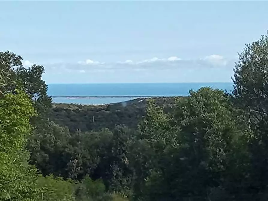 Immagine 4 di Appartamento in vendita  a Sannicandro Garganico
