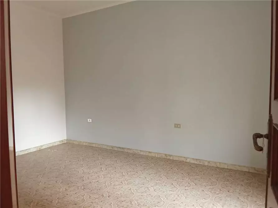 Immagine 5 di Stabile in vendita  a Sannicandro Garganico