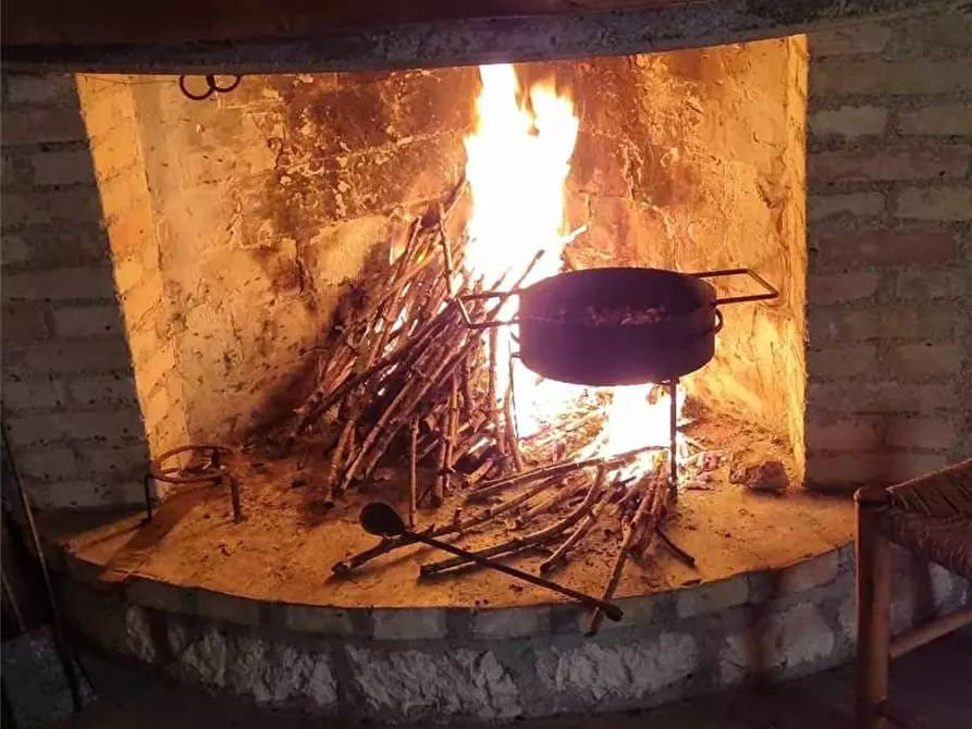 Immagine 3 di Terreno in vendita  a Sannicandro Garganico