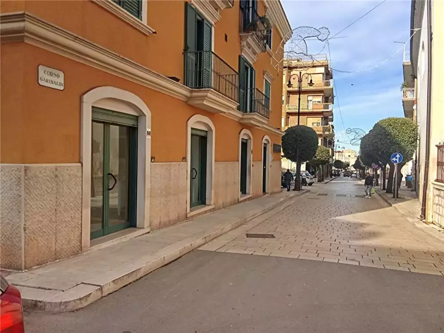 Immagine 3 di Attività commerciale in affitto  a Sannicandro Garganico