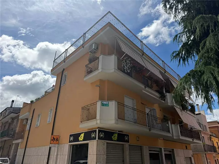 Immagine 1 di Appartamento in vendita  a Sannicandro Garganico