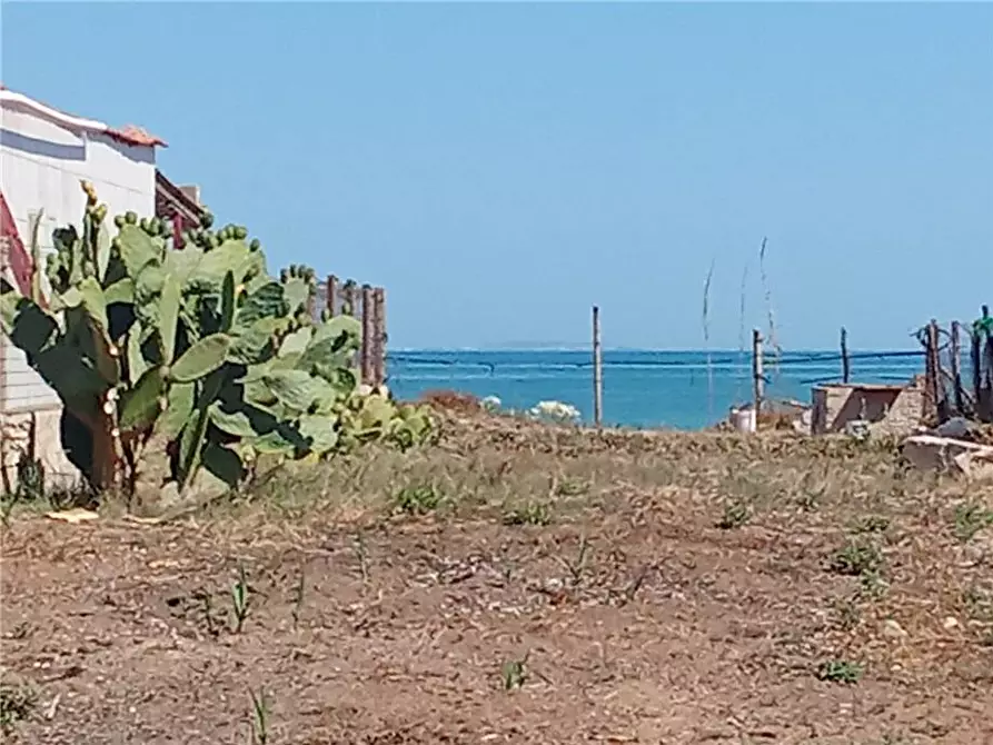 Immagine 2 di Terreno in vendita  a Sannicandro Garganico