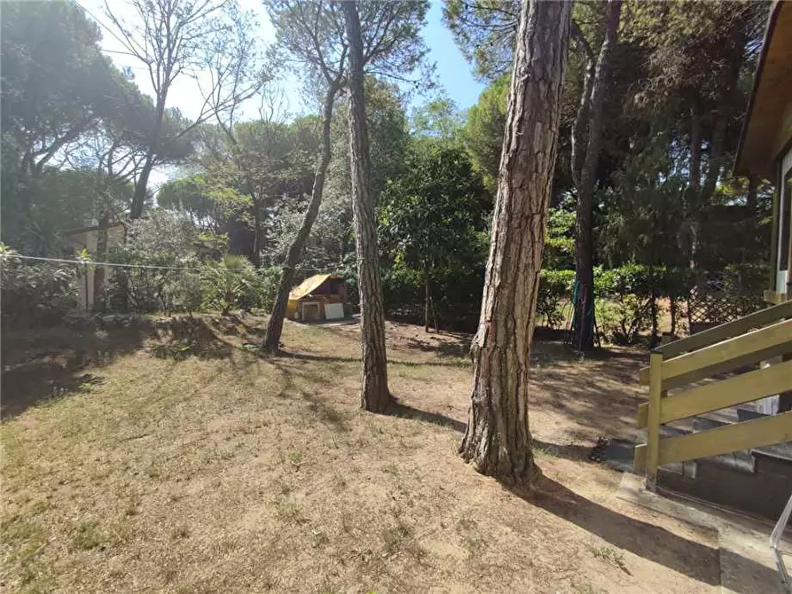 Immagine 6 di Villa in vendita  a Eraclea