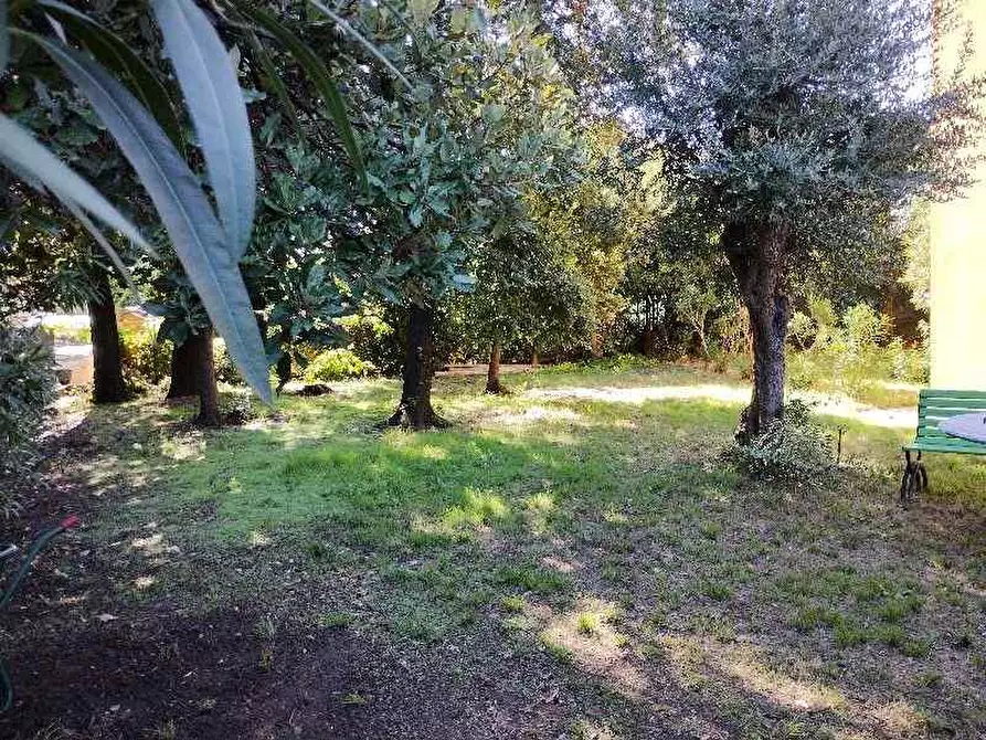 Immagine 4 di Ufficio in affitto  a Massarosa