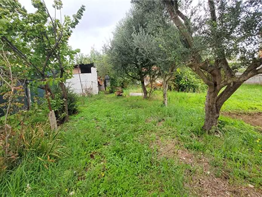 Immagine 1 di Terreno in vendita  in Via Pascuale Cicatiello, 65 a Fiumicino