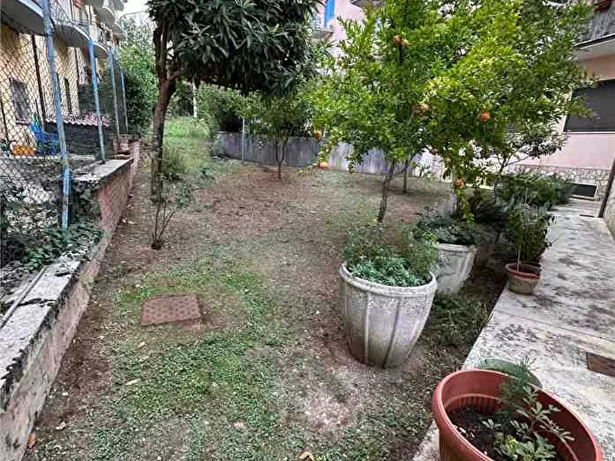 Immagine 3 di Appartamento in vendita  a Pratola Peligna