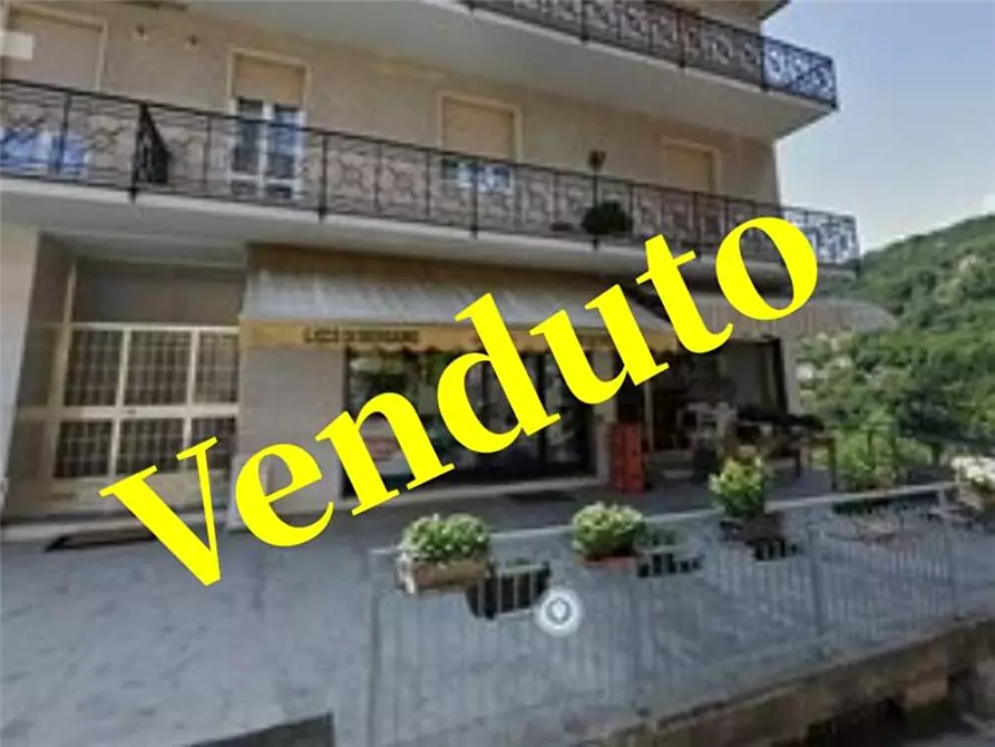 Immagine 1 di Attività commerciale in vendita  a Berbenno