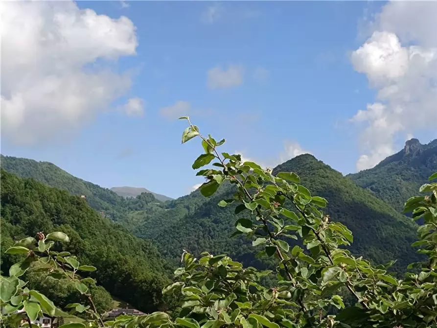Immagine 12 di Villa in vendita  a Val Brembilla