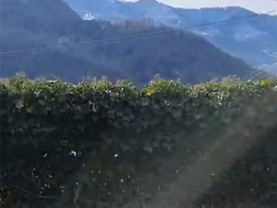 Immagine 9 di Appartamento in vendita  a Zogno