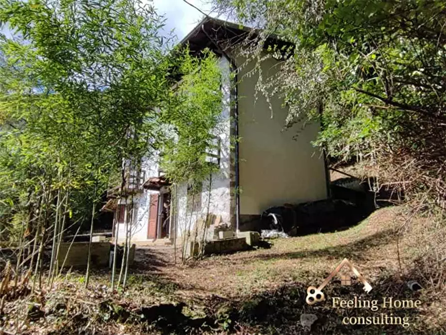 Immagine 1 di Villa in vendita  a Sant'omobono Terme