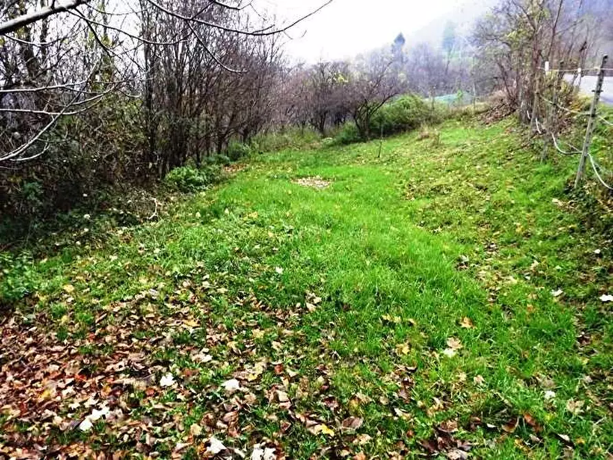 Immagine 6 di Terreno in vendita  a Val Brembilla