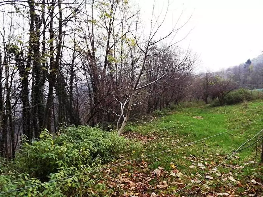 Immagine 7 di Terreno in vendita  a Val Brembilla