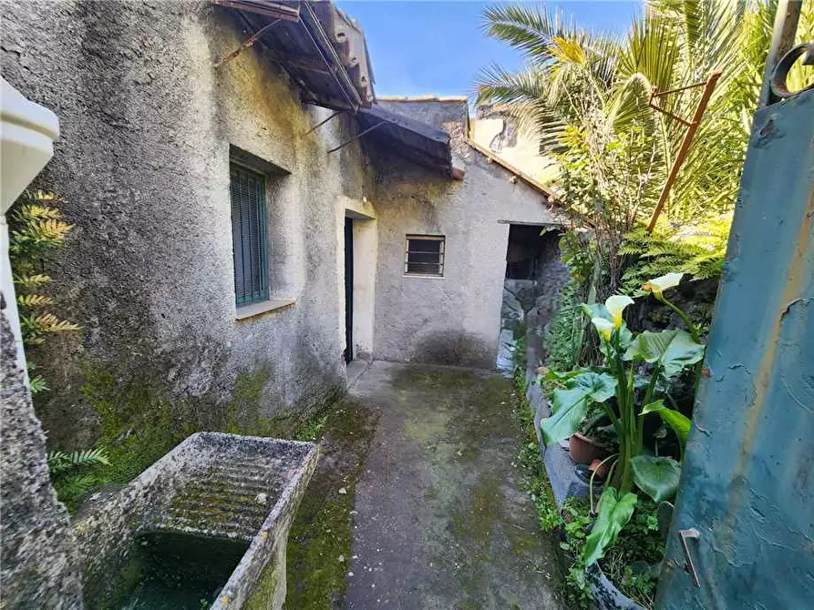 Immagine 2 di Villa in vendita  a Aci Bonaccorsi
