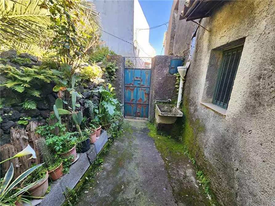 Immagine 4 di Villa in vendita  a Aci Bonaccorsi