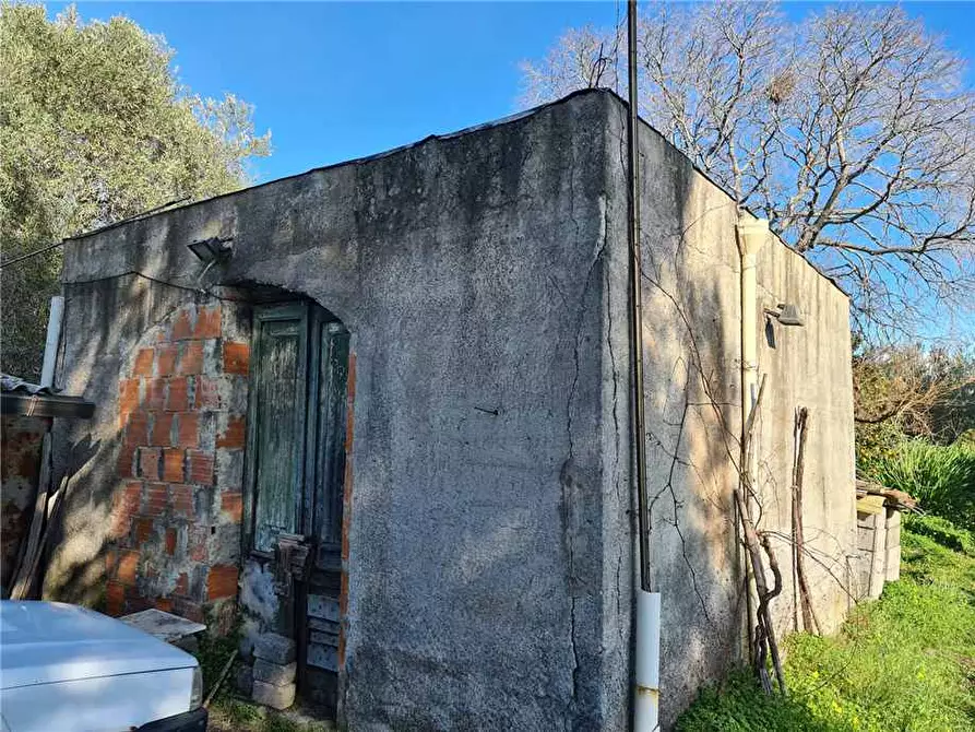 Immagine 2 di Terreno in vendita  in Via Fichera a Santa Venerina