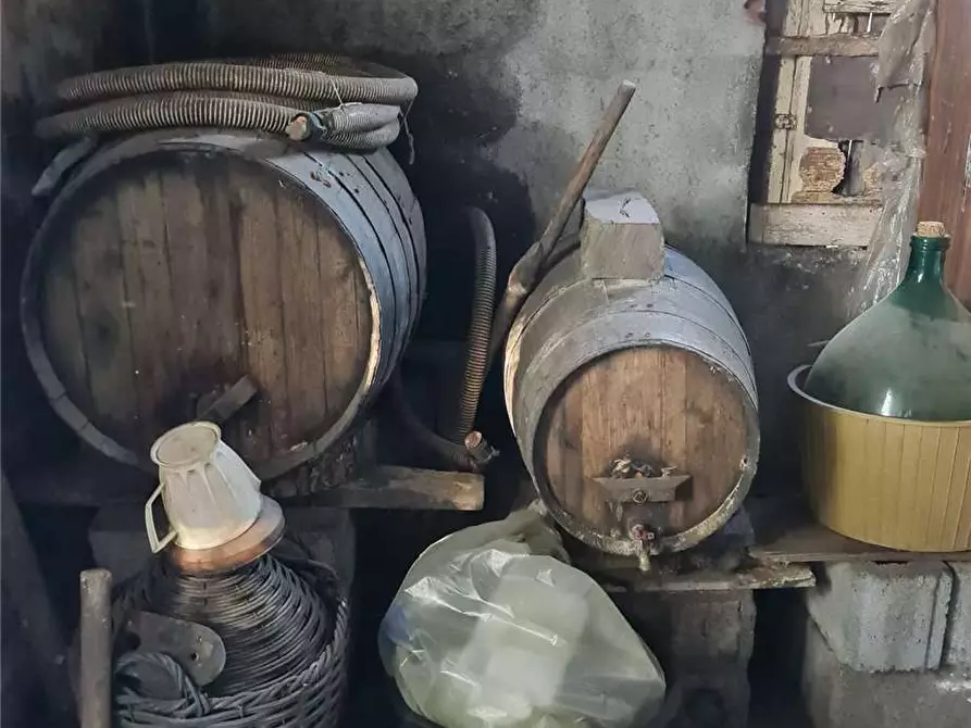 Immagine 4 di Terreno in vendita  in Via Fichera a Santa Venerina