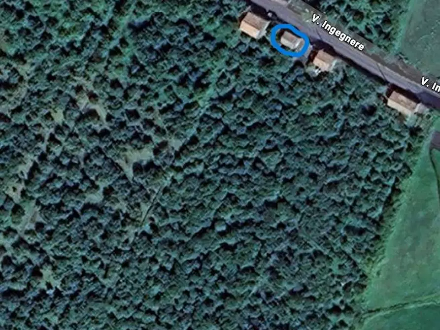 Immagine 5 di Terreno in vendita  in Via pozzillo inferiore, sn a Acireale