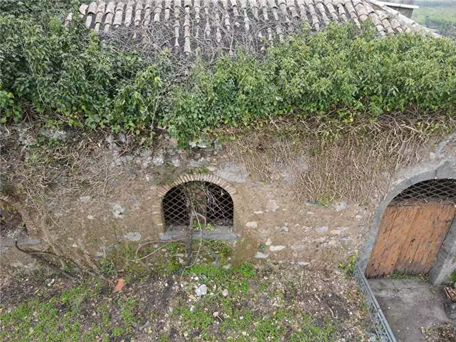 Immagine 3 di Villa in vendita  in Via strada 64 a Giarre