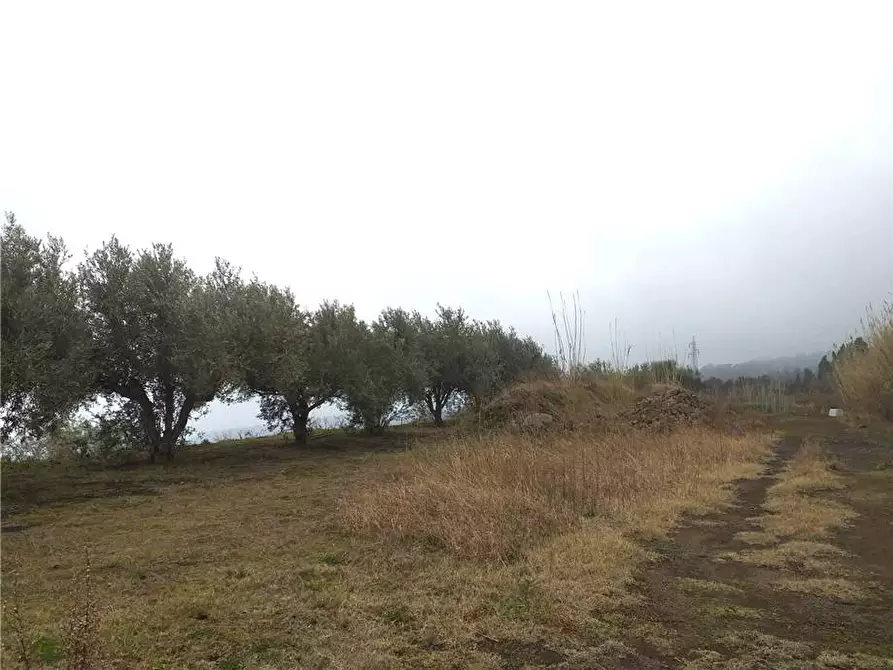 Immagine 5 di Terreno in vendita  in Via terremorte a Sant'alfio