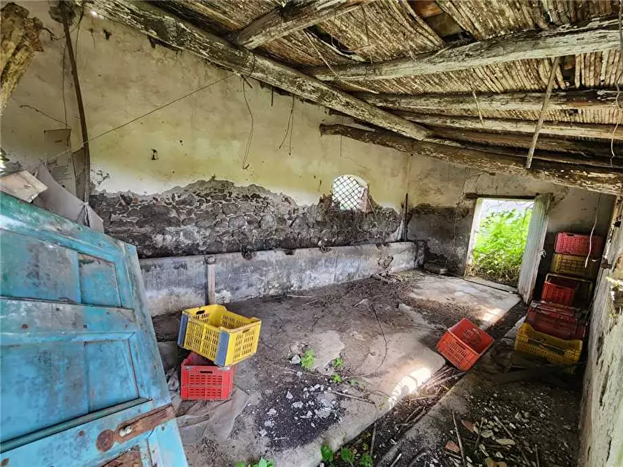 Immagine 4 di Terreno in vendita  in Via Badala a Fiumefreddo Di Sicilia
