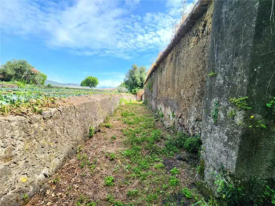 Immagine 5 di Terreno in vendita  in Via Badala a Fiumefreddo Di Sicilia