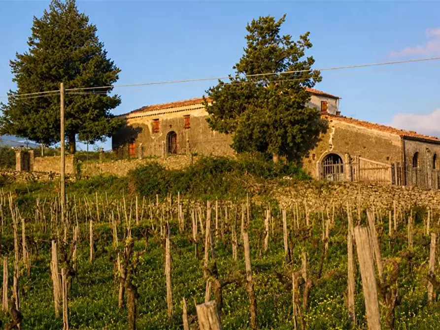 Immagine 2 di Villa in vendita  in Via corvo, sn a Castiglione Di Sicilia