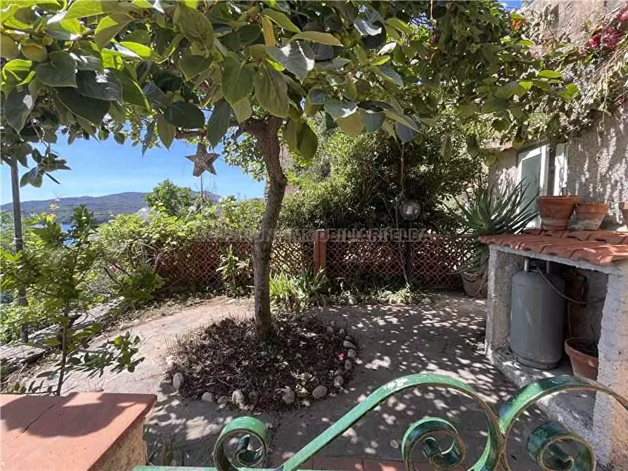Immagine 3 di Appartamento in vendita  a Portoferraio