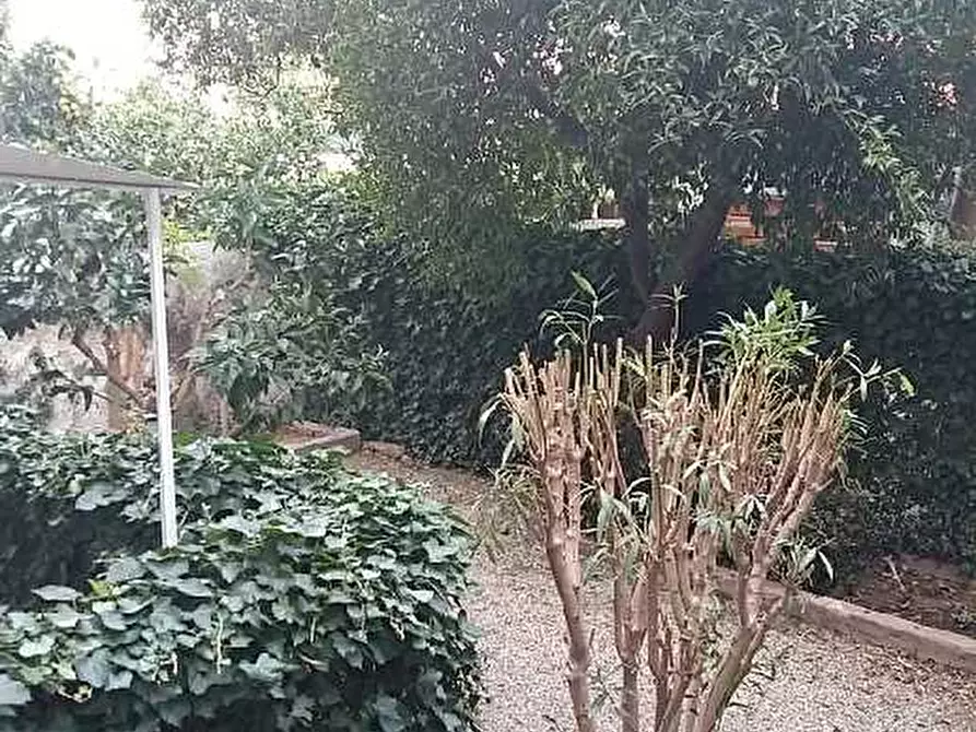 Immagine 5 di Appartamento in vendita  a Porto Azzurro