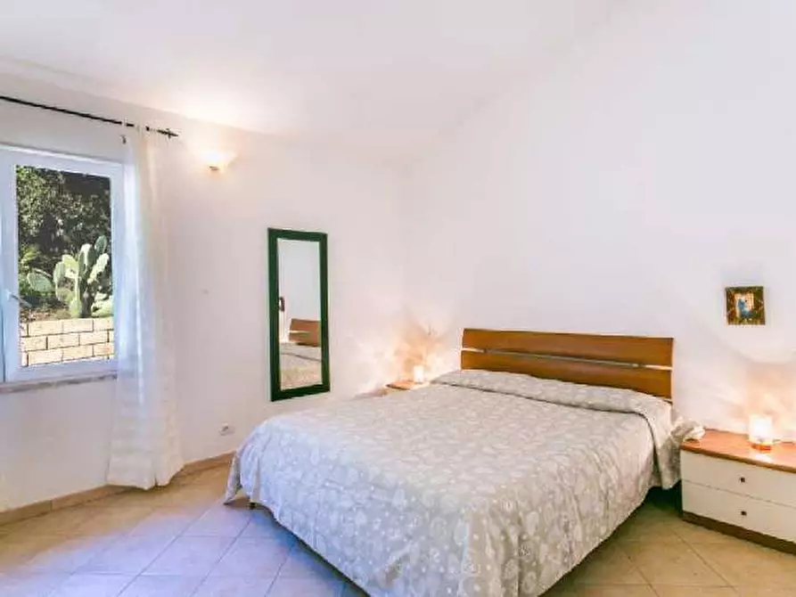 Immagine 3 di Appartamento in affitto  a Capoliveri