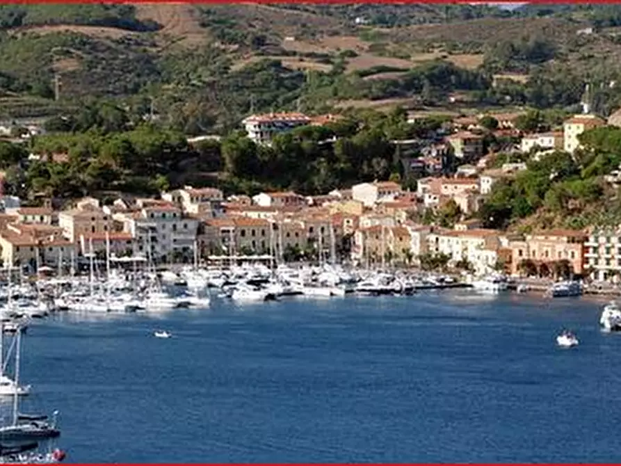 Immagine 5 di Attività commerciale in vendita  a Porto Azzurro