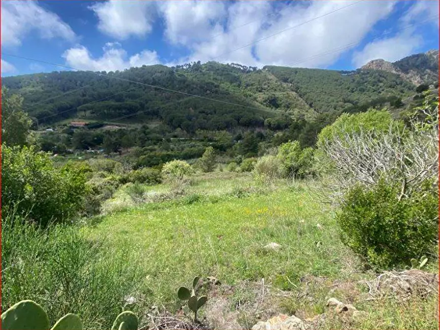 Immagine 7 di Villa in vendita  a Porto Azzurro