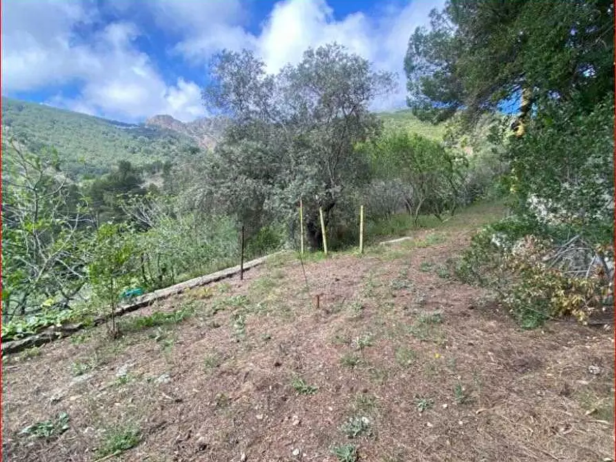 Immagine 8 di Villa in vendita  a Porto Azzurro