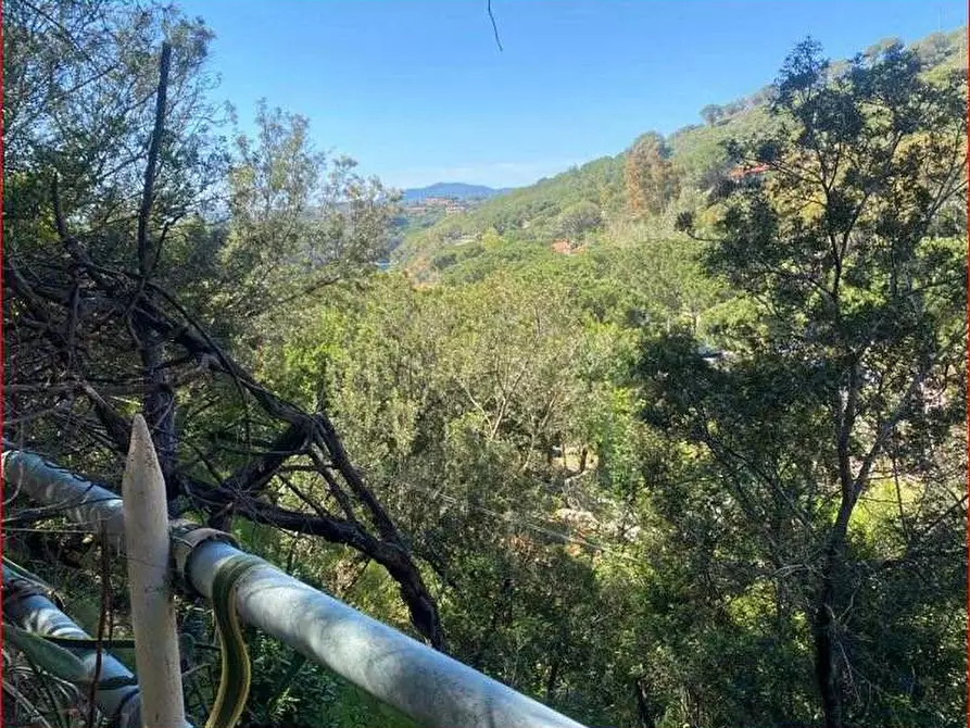 Immagine 4 di Rustico / casale in vendita  a Capoliveri