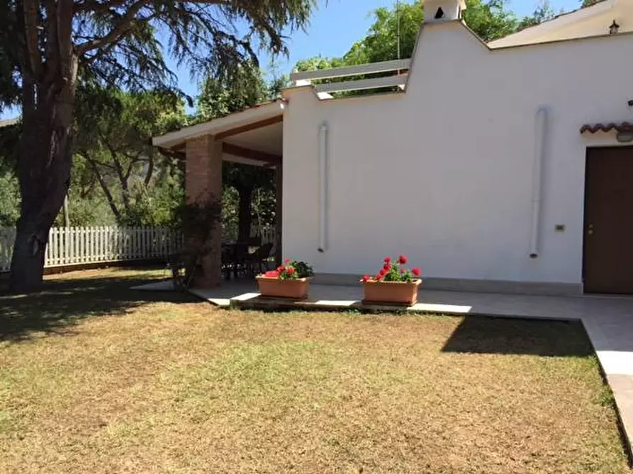 Immagine 2 di Villa in vendita  a Portoferraio