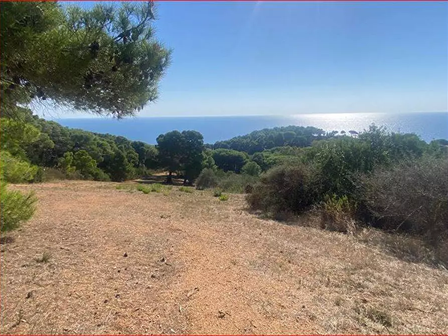 Immagine 2 di Terreno in vendita  a Rio