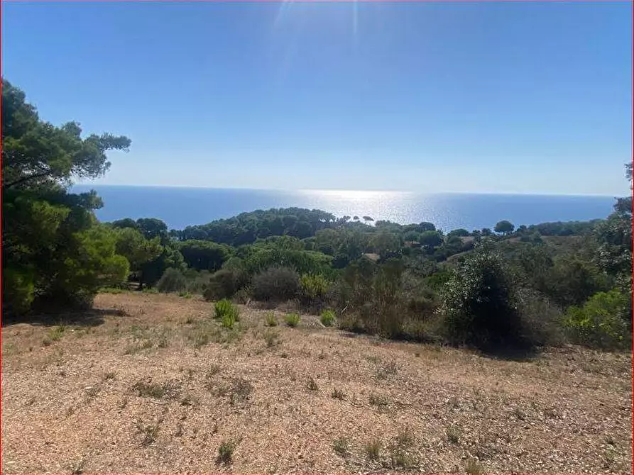 Immagine 3 di Terreno in vendita  a Rio