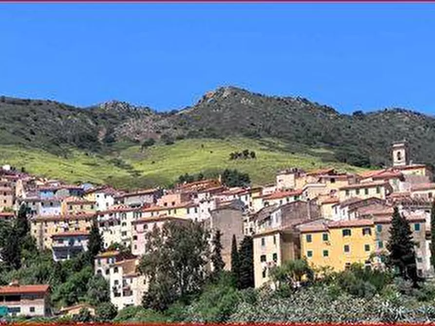 Immagine 3 di Attività commerciale in vendita  a Rio