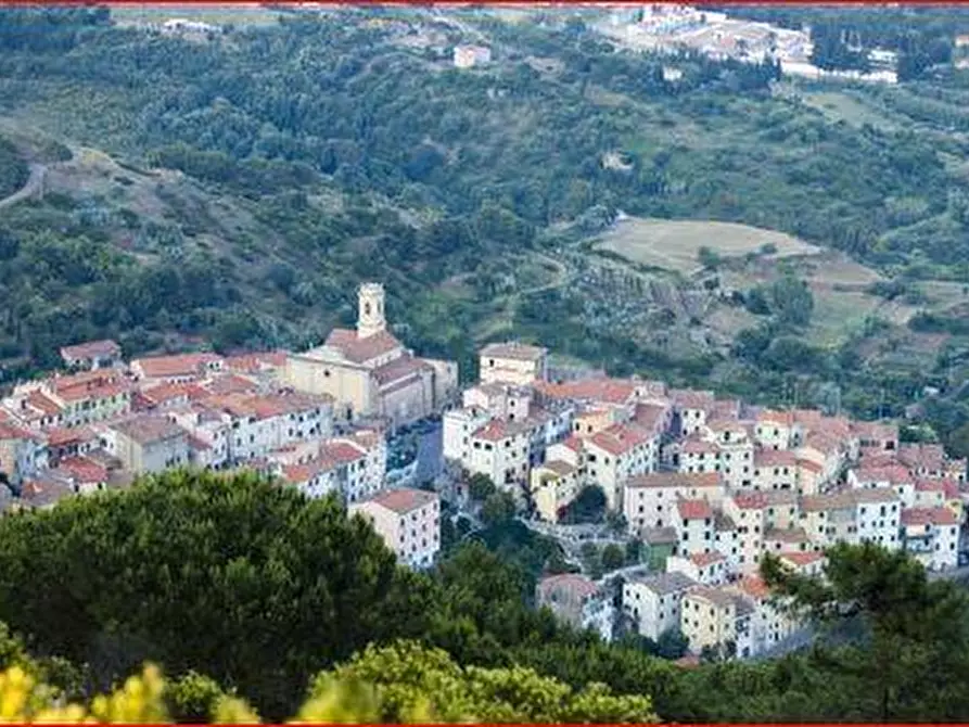 Immagine 5 di Attività commerciale in vendita  a Rio