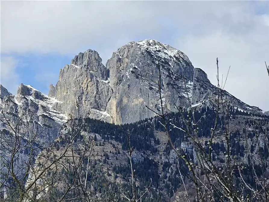 Immagine 5 di Villa in vendita  a Santa Giustina
